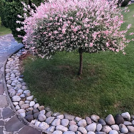 Pepa Дом отдыха *